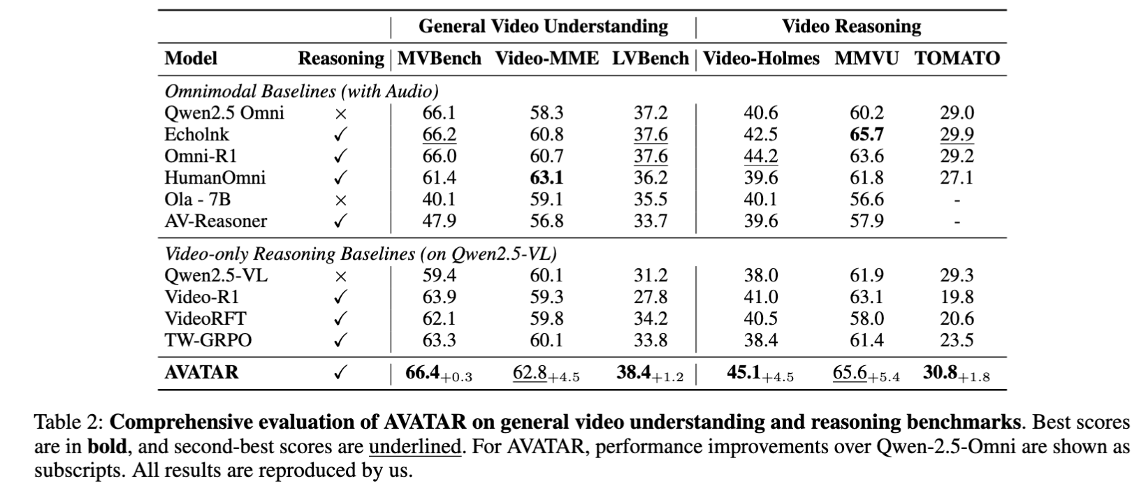 General Video Understanding Results (Table 2)